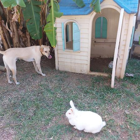 Bed and Breakfast Cazhibiscus Trou aux Biches Exterior foto